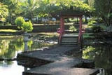 hilo gardens